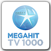 TV1000 Megahit HD